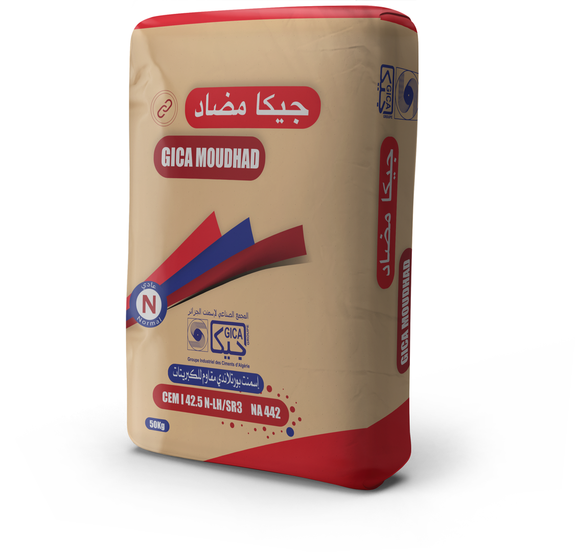 GICA MOUDHAD